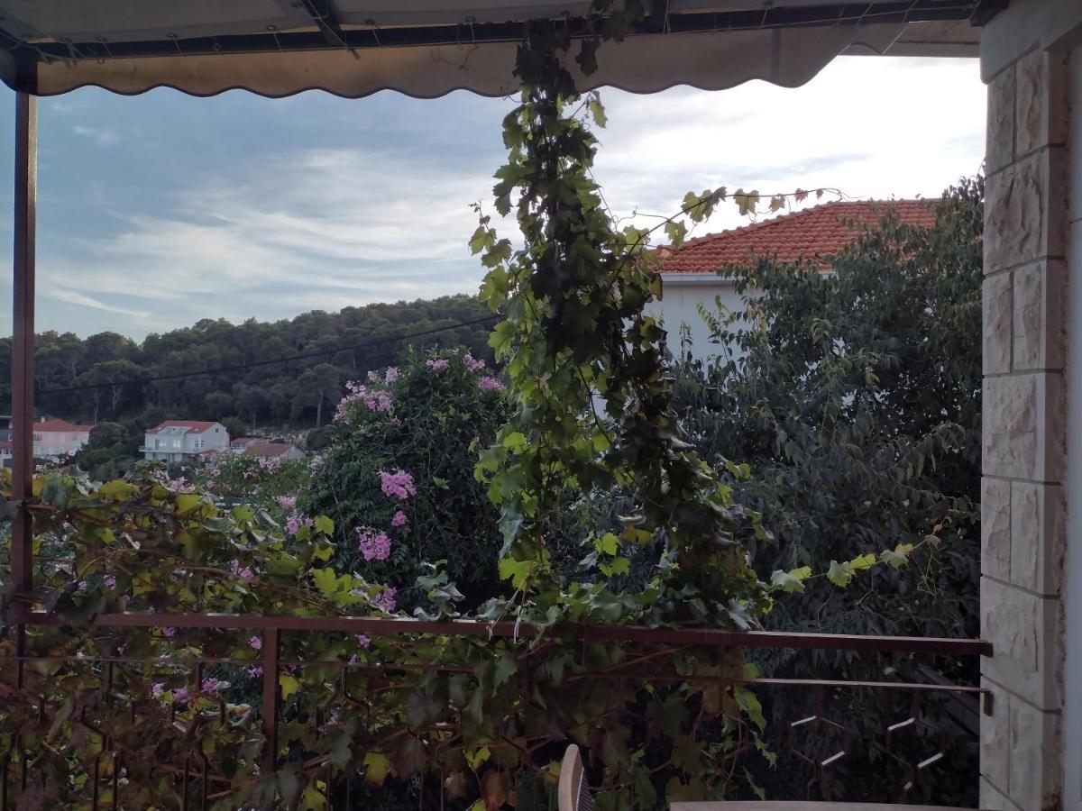 Petra Apartments Korčula Zewnętrze zdjęcie