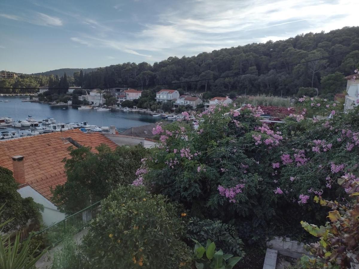 Petra Apartments Korčula Zewnętrze zdjęcie